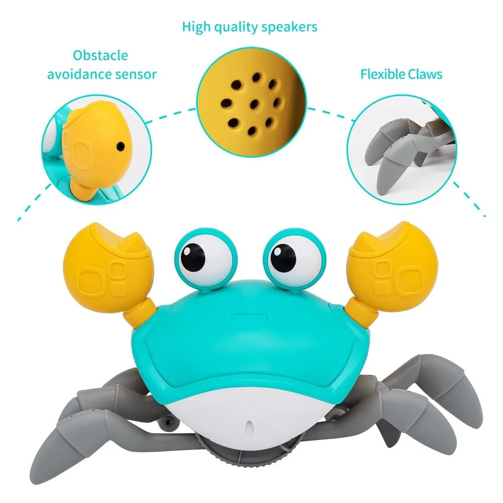Crabe Danseur Musical Bébé – Jouet Interactif Rechargeable - Nid’Éveil